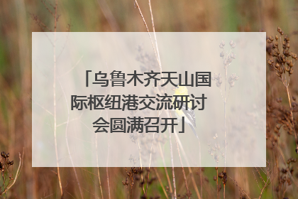 乌鲁木齐天山国际枢纽港交流研讨会圆满召开