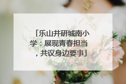 乐山井研城南小学：展现青春担当，共议身边要事