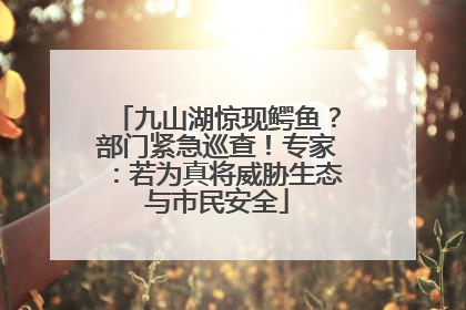 九山湖惊现鳄鱼？部门紧急巡查！专家：若为真将威胁生态与市民安全