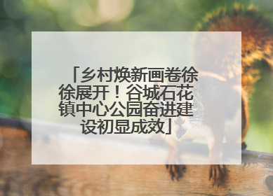 乡村焕新画卷徐徐展开！谷城石花镇中心公园奋进建设初显成效