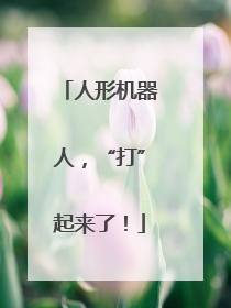 人形机器人，“打”起来了！