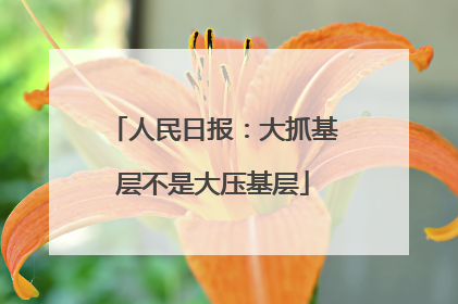人民日报：大抓基层不是大压基层