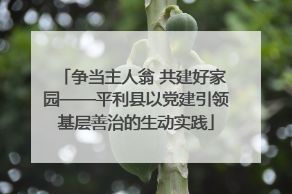 争当主人翁 共建好家园——平利县以党建引领基层善治的生动实践