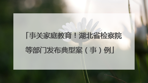 事关家庭教育！湖北省检察院等部门发布典型案（事）例