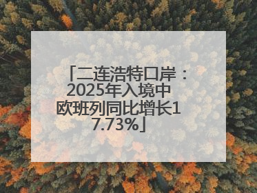 二连浩特口岸：2025年入境中欧班列同比增长17.73%