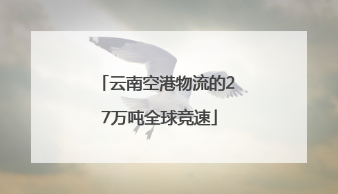 云南空港物流的27万吨全球竞速