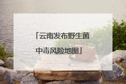 云南发布野生菌中毒风险地图