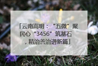 云南嵩明：“五微”聚民心“3456”筑基石，精治善治谱新篇