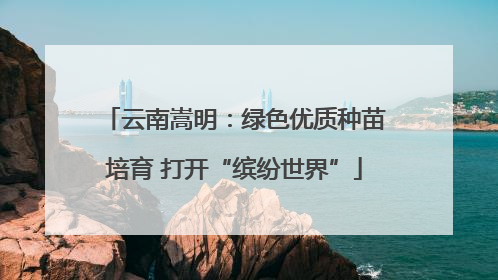 云南嵩明：绿色优质种苗培育 打开“缤纷世界”