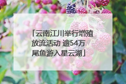 云南江川举行增殖放流活动 逾54万尾鱼游入星云湖