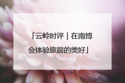 云岭时评｜在南博会体验旅居的美好
