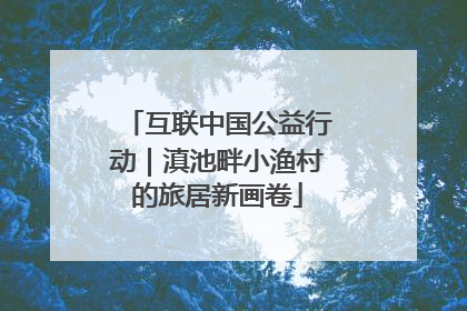 互联中国公益行动｜滇池畔小渔村的旅居新画卷