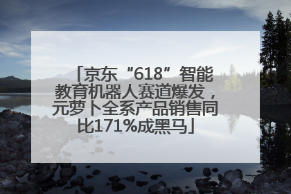 京东“618”智能教育机器人赛道爆发，元萝卜全系产品销售同比171%成黑马