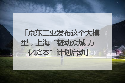京东工业发布这个大模型，上海“链动众城 万亿降本”计划启动