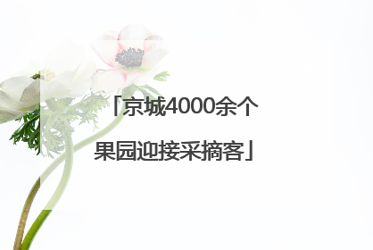 京城4000余个果园迎接采摘客
