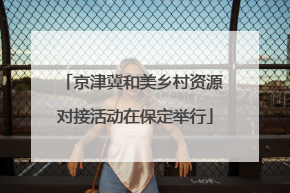 京津冀和美乡村资源对接活动在保定举行