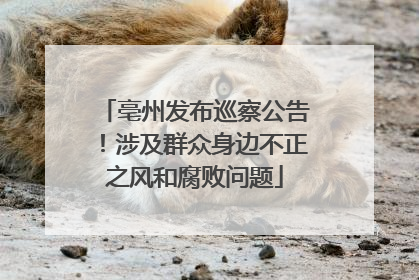 亳州发布巡察公告！涉及群众身边不正之风和腐败问题