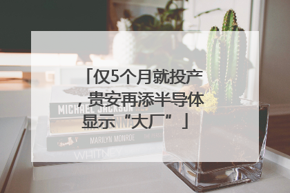仅5个月就投产，贵安再添半导体显示“大厂”
