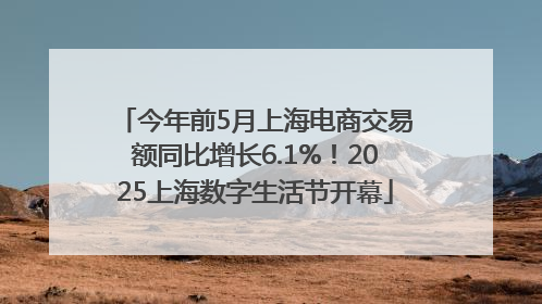 今年前5月上海电商交易额同比增长6.1%！2025上海数字生活节开幕