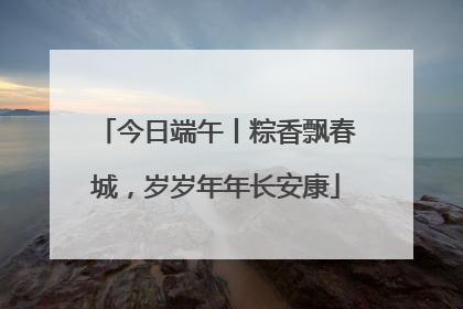 今日端午丨粽香飘春城，岁岁年年长安康