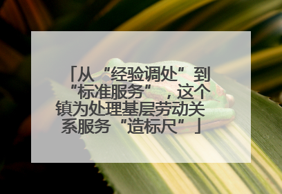 从“经验调处”到“标准服务”，这个镇为处理基层劳动关系服务“造标尺”