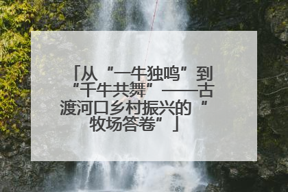 从“一牛独鸣”到“千牛共舞”——古渡河口乡村振兴的“牧场答卷”