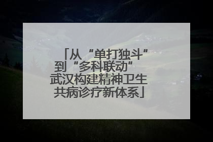 从“单打独斗”到“多科联动” 武汉构建精神卫生共病诊疗新体系