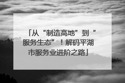 从“制造高地”到“服务生态”！解码平湖市服务业进阶之路