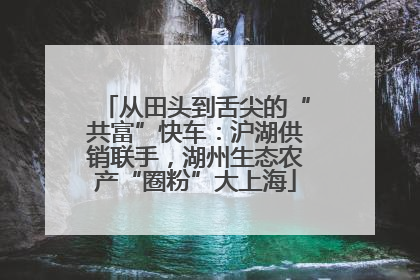 从田头到舌尖的“共富”快车：沪湖供销联手，湖州生态农产“圈粉”大上海