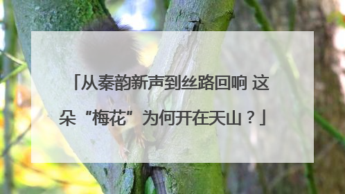 从秦韵新声到丝路回响 这朵“梅花”为何开在天山？