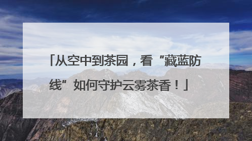 从空中到茶园，看“藏蓝防线”如何守护云雾茶香！