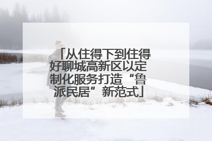 从住得下到住得好聊城高新区以定制化服务打造“鲁派民居”新范式