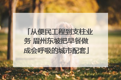 从便民工程到支柱业务 眉州东坡把早餐做成会呼吸的城市配套