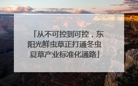 从不可控到可控，东阳光鲜虫草正打通冬虫夏草产业标准化通路