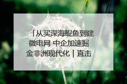 从买深海鳀鱼到建微电网 中企加速掘金非洲现代化｜直击中非经贸博览会