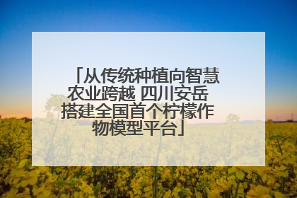 从传统种植向智慧农业跨越 四川安岳搭建全国首个柠檬作物模型平台
