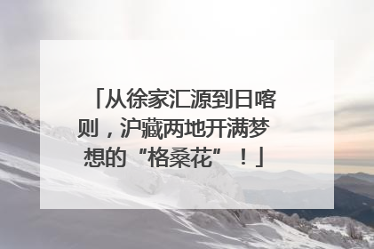 从徐家汇源到日喀则，沪藏两地开满梦想的“格桑花”！