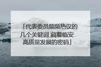 代表委员频频热议的几个关键词 藏着临安高质量发展的密码