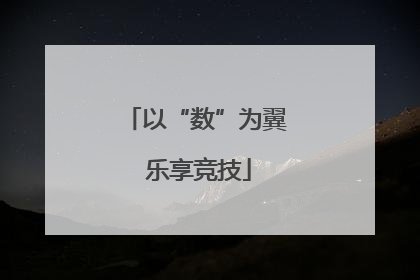 以“数”为翼 乐享竞技