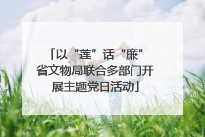 以“莲”话“廉” 省文物局联合多部门开展主题党日活动