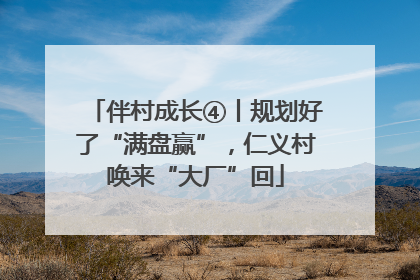 伴村成长④丨规划好了“满盘赢”，仁义村唤来“大厂”回