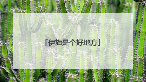 伊旗是个好地方