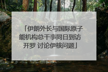 伊朗外长与国际原子能机构总干事同日到访开罗 讨论伊核问题