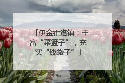 伊金霍洛镇：丰富“菜篮子”，充实“钱袋子”