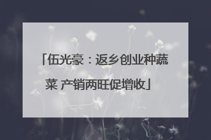 伍光豪：返乡创业种蔬菜 产销两旺促增收