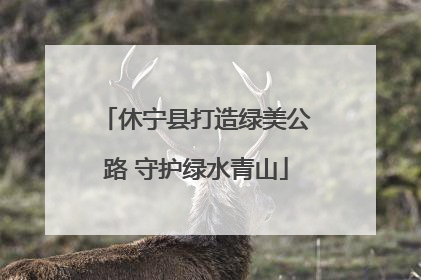 休宁县打造绿美公路 守护绿水青山