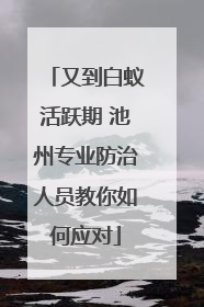 又到白蚁活跃期 池州专业防治人员教你如何应对