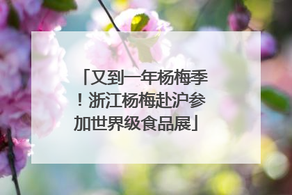 又到一年杨梅季！浙江杨梅赴沪参加世界级食品展