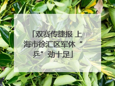 双赛传捷报 上海市徐汇区军休“乒”劲十足