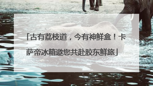 古有荔枝道，今有神鲜盒！卡萨帝冰箱邀您共赴胶东鲜旅